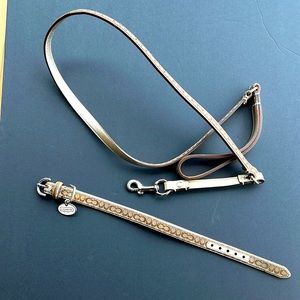 Coach Dog collar and leash
